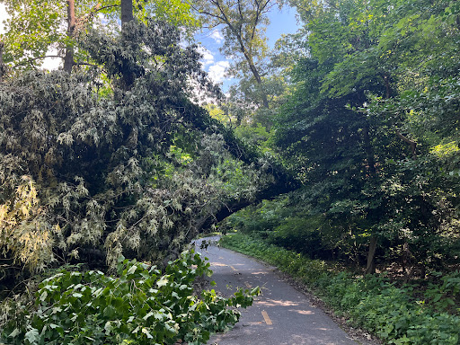 Recreation Center «Rosedale Recreation Center», reviews and photos, 1701 Gales St NE, Washington, DC 20002, USA