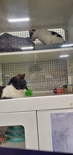 Pet Supply Store «Petco Animal Supplies», reviews and photos, 60 E Golf Rd, Schaumburg, IL 60173, USA