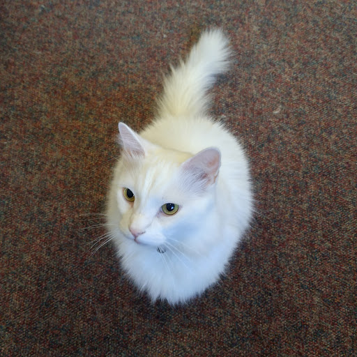 444 N Telegraph Rd, Dearborn, MI 48128, USA