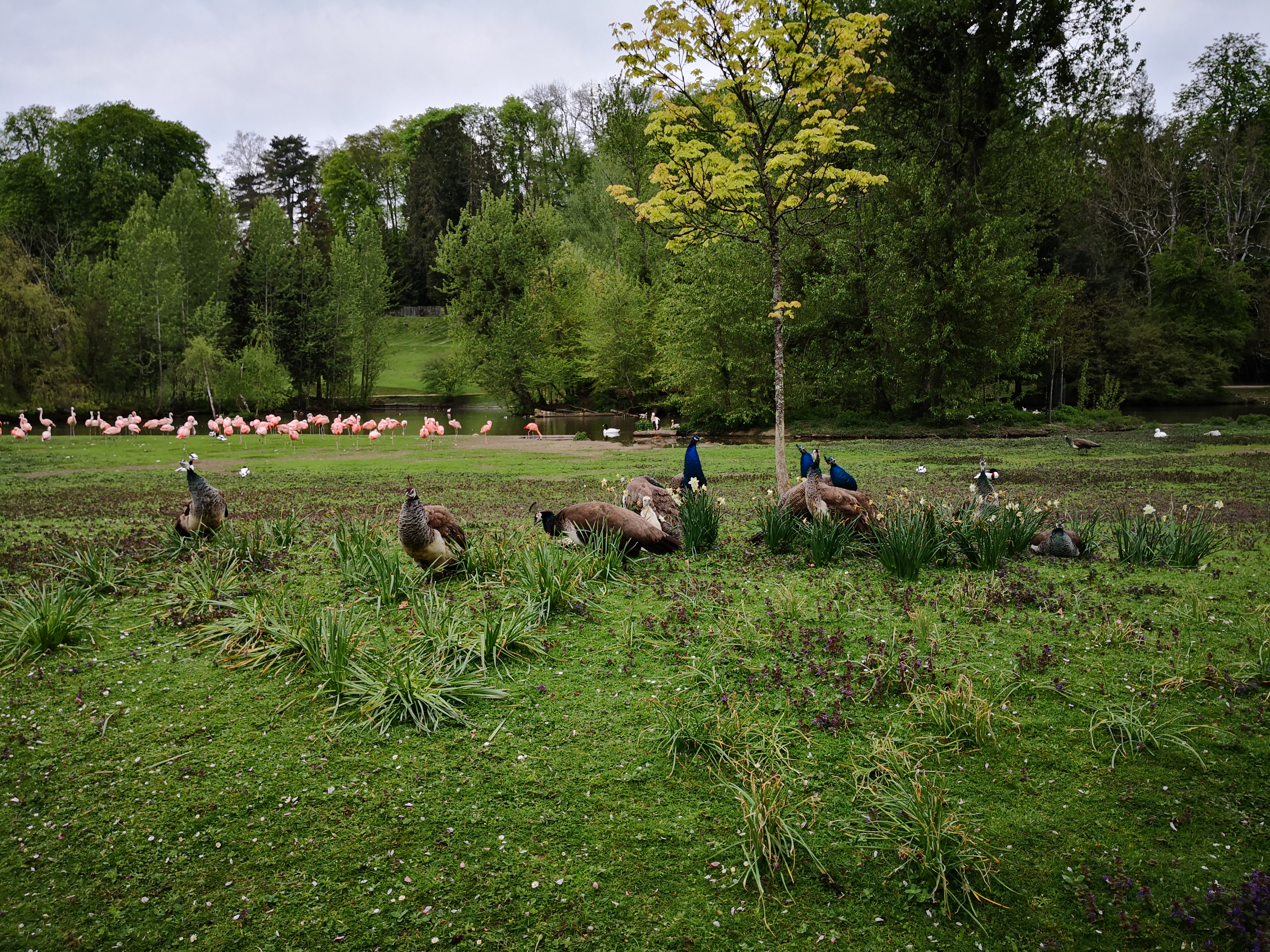 Photo n° 8 de l'avis de Mélanie. fait le 02/05/2019 à 08:22