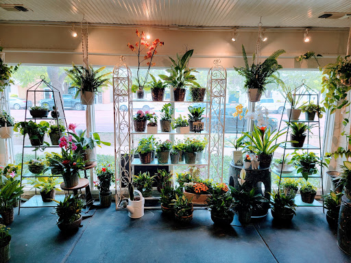 Florist «The Fig and Flower», reviews and photos, 2019 Broadway St, Lubbock, TX 79401, USA