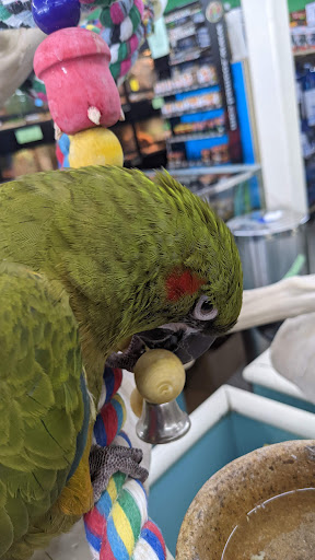 Pet Store «Leesburg Pet Center», reviews and photos, 959 N 14th St, Leesburg, FL 34748, USA