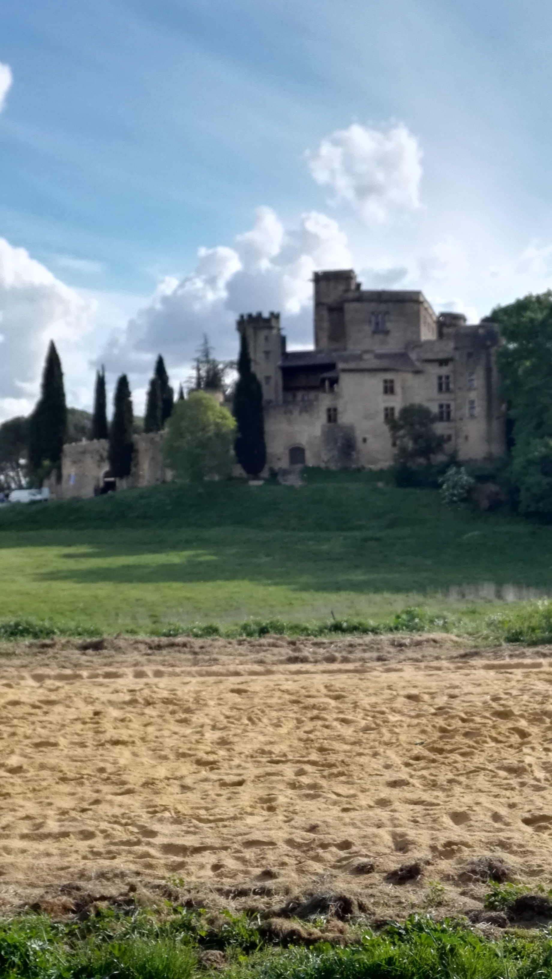 Photo n° 5 de l'avis de Caille. fait le 30/04/2018 à 22:18