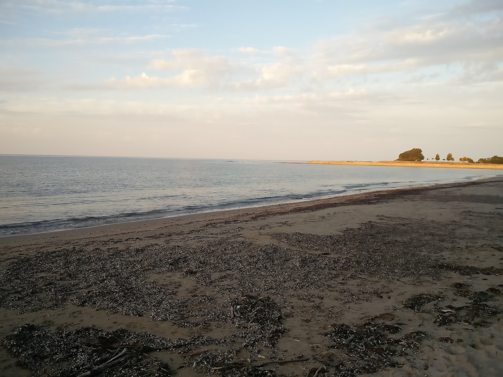 East Devonport Beach photo #9