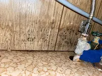 Resto - Car repair in Boise, ID, Meridian - Rated 5.0/5