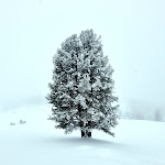 Photo n°2 de l'avis de Luca.r fait le 11/02/2024 à 19:55 sur le  Rifugio Vallandro à Prags