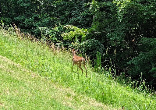 Golf Club «Towne Lake Hills Golf Club», reviews and photos, 1003 Towne Lake Hills E, Woodstock, GA 30189, USA