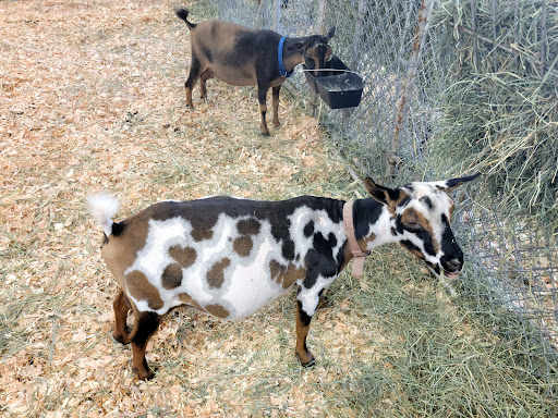 Fairground «The Evergreen State Fairgrounds», reviews and photos, 14405 179th Ave SE, Monroe, WA 98272, USA