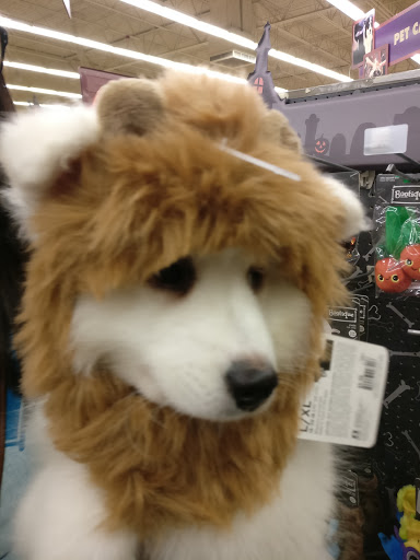 Pet Supply Store «Petco Animal Supplies», reviews and photos, 17200 Southcenter Pkwy #100, Tukwila, WA 98188, USA