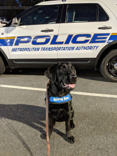 Shopping Mall «Golden Horseshoe Shopping Center», reviews and photos, 1088 Wilmot Rd, Scarsdale, NY 10583, USA