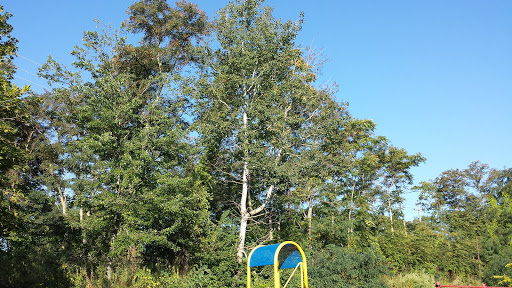 Park «Manchester Street Park», reviews and photos, 77 Manchester St, Lawrence, MA 01841, USA