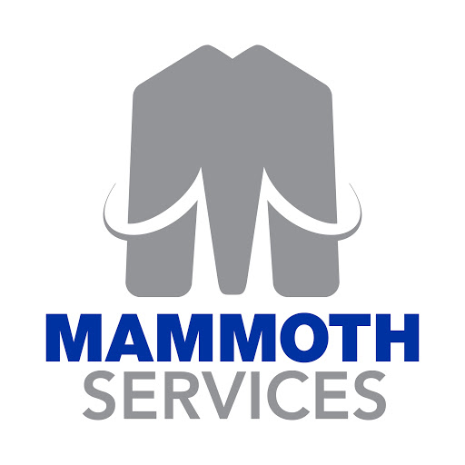 Handyman «Mammoth Services», reviews and photos, 1011 N Val Vista Dr #102, Gilbert, AZ 85234, USA