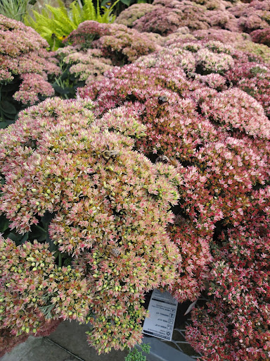 Home Improvement Store «The Home Depot», reviews and photos, 160 Laconia Rd, Tilton, NH 03276, USA