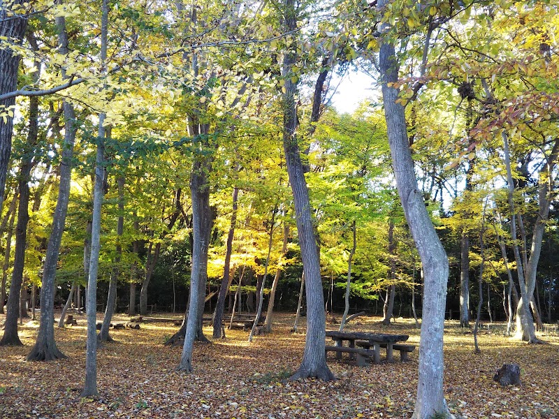 桶川市立川田谷こどもの森