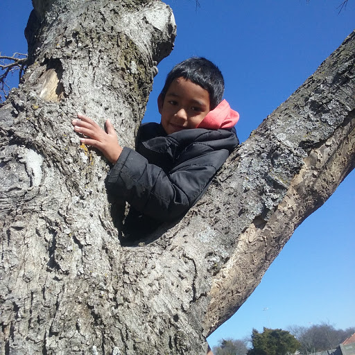 Park «Park», reviews and photos, 300 W Wheatland Rd, Dallas, TX 75232, USA