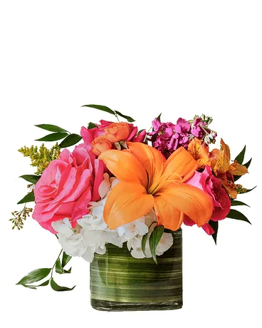 Florist «North Raleigh Florist», reviews and photos, 7457 Six Forks Rd, Raleigh, NC 27615, USA