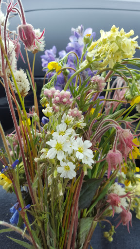 National Forest «Bighorn National Forest», reviews and photos