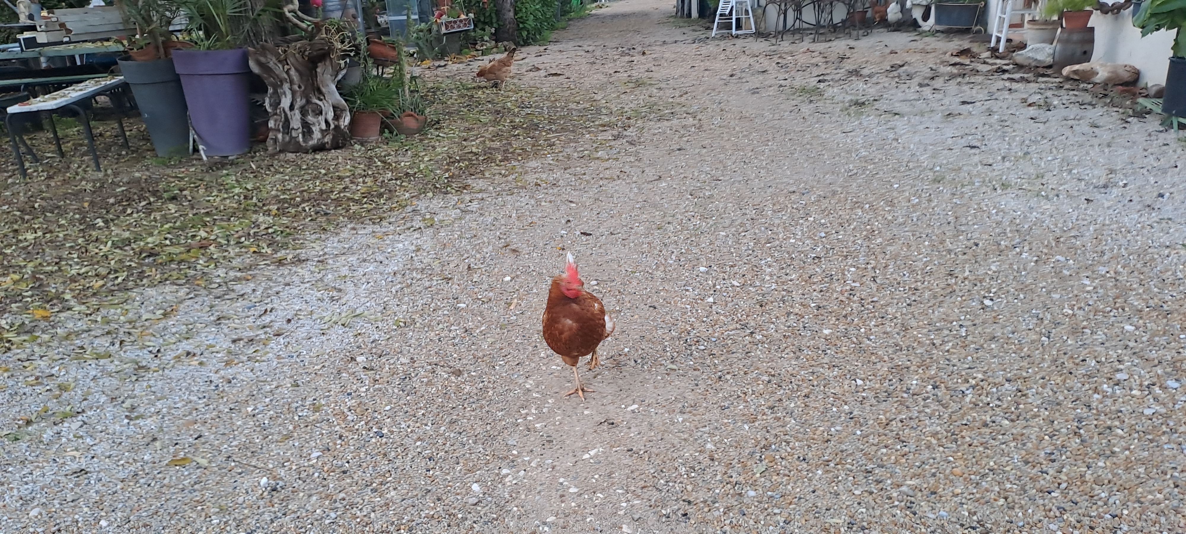 Photo n° 3 de l'avis de Vera.e fait le 11/01/2023 à 17:21