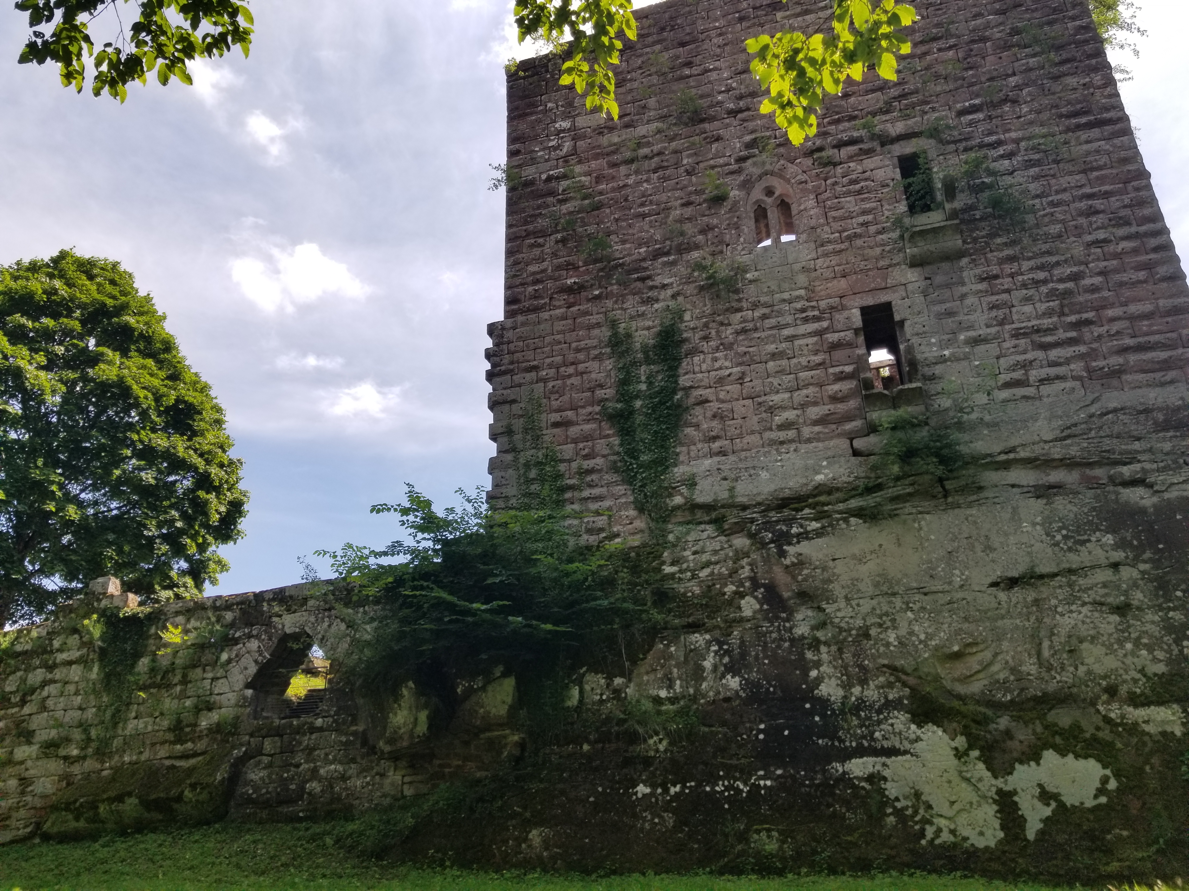 Photo n° 1 de l'avis de Marc.e fait le 10/07/2021 à 13:46