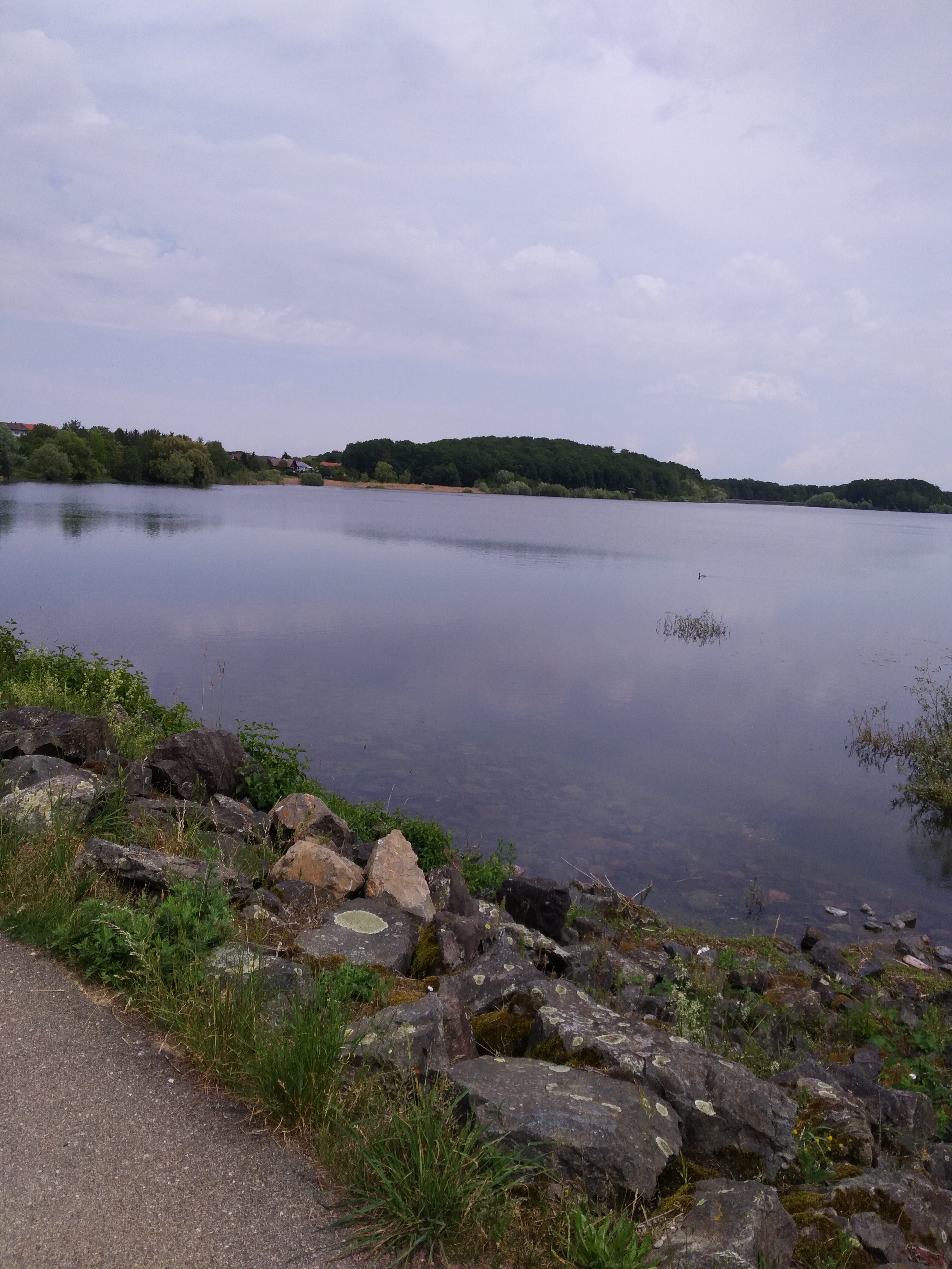 Photo n° 5 de l'avis de Titeanguille.r fait le 10/07/2018 à 04:47