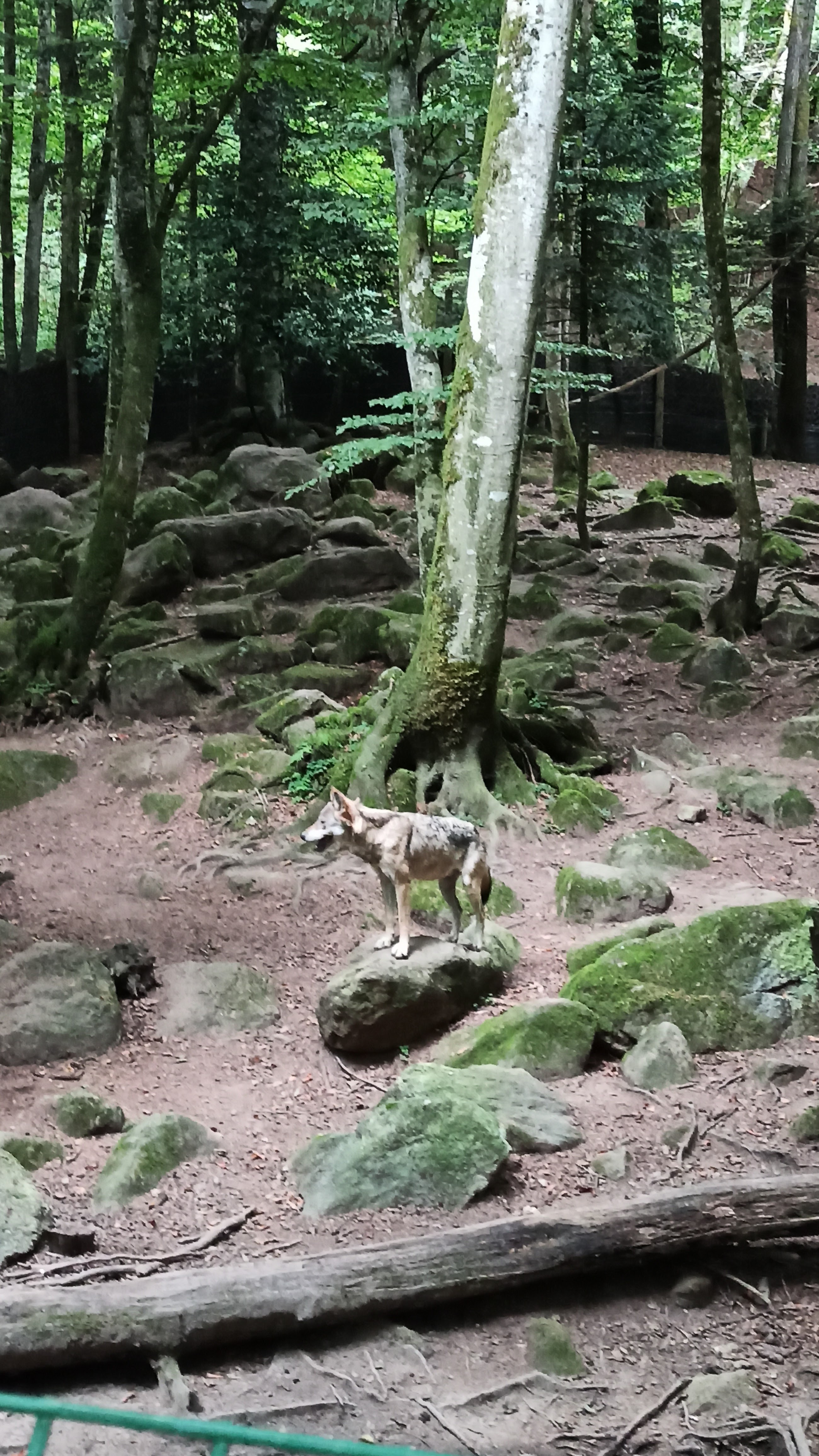 Photo n° 2 de l'avis de Laetitia.i fait le 22/08/2021 à 19:32