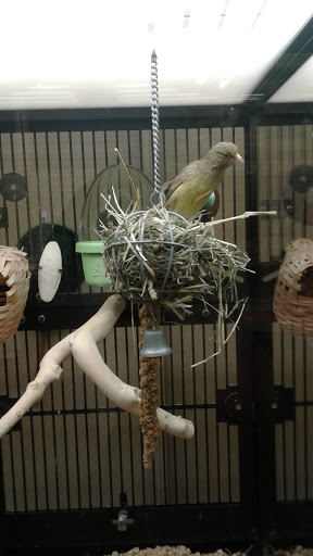 Pet Supply Store «PetSmart», reviews and photos, 901 US-1, North Brunswick Township, NJ 08902, USA