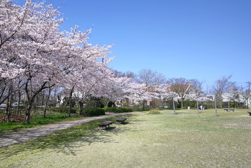 県立鳥屋野潟公園 女池エリア