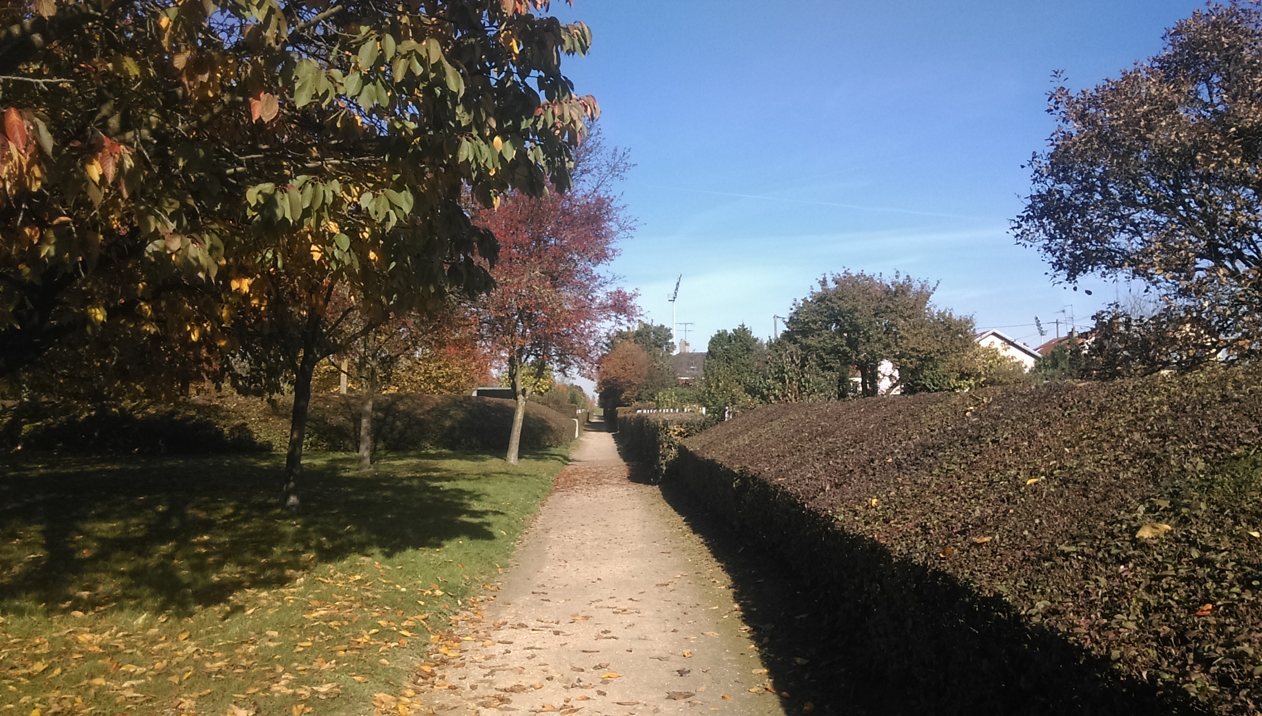 Photo n° 1 de l'avis de Zheng.O fait le 28/12/2016 à 17:39