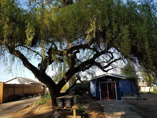 Painter «J C Painting & Remodeling LLC», reviews and photos, 7980 Phillips Rd SE, Port Orchard, WA 98367, USA