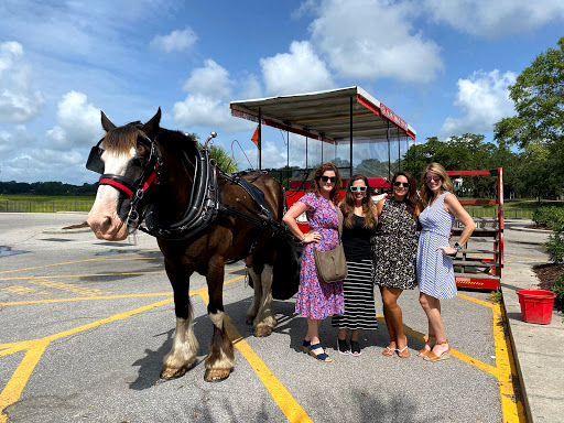 Carriage Ride Service «Sea Island Carriage Company», reviews and photos, 930 Bay St, Beaufort, SC 29902, USA