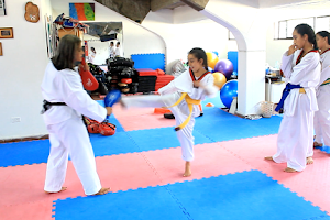 Club Deportivo de Taekwondo Jansu image