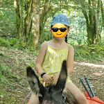 Photo n° 2 de l'avis de audrey. fait le 12/08/2023 à 21:56 pour P'tit coin de Ca'Ré - Randos ânes et Gites - Lac de Vouglans Jura à Montcusel