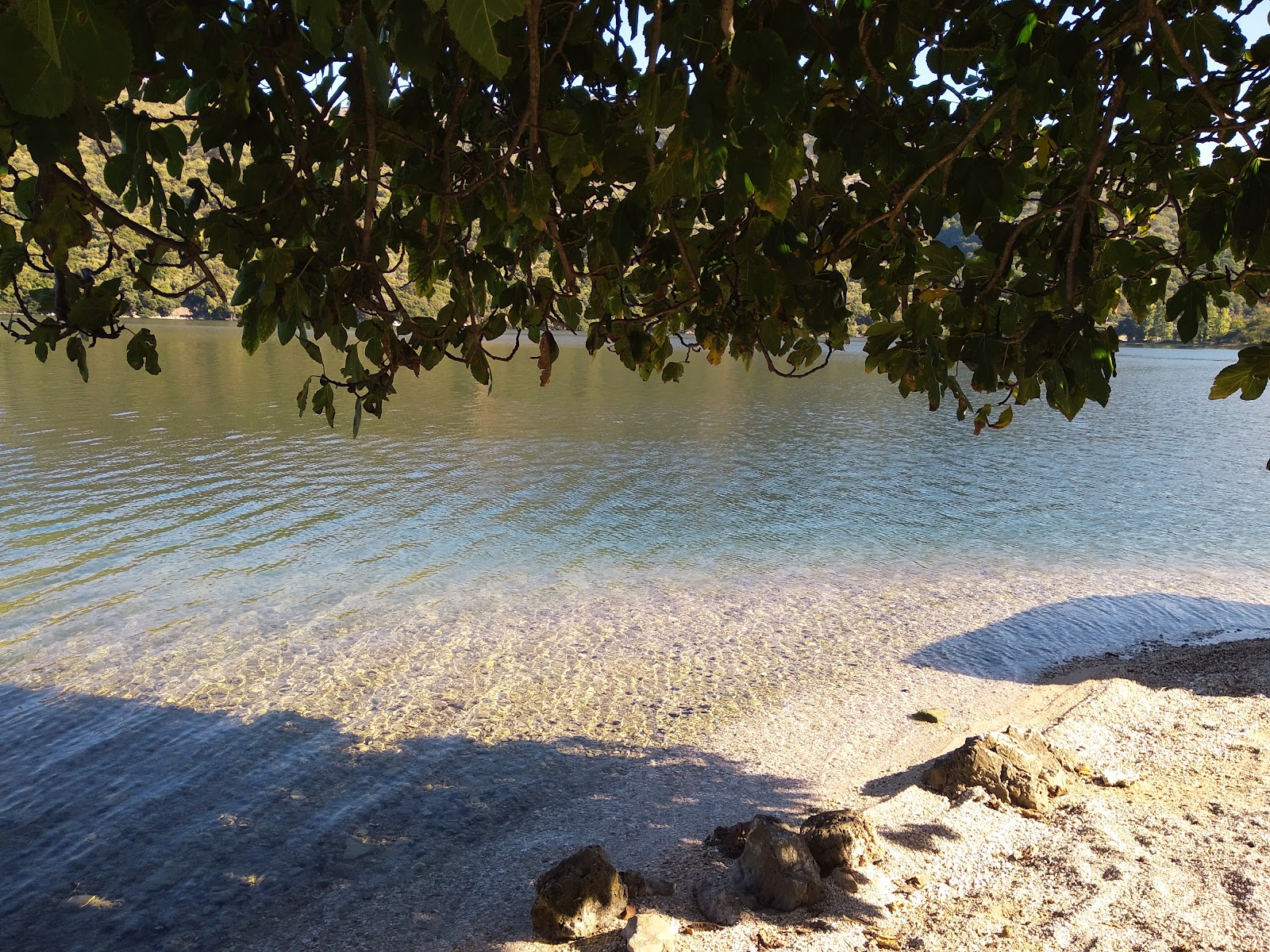 Bardis Beach'in fotoğrafı uçurumlarla desteklenmiş