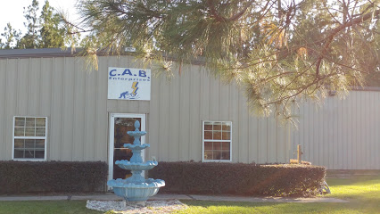 CAB Enterprises Inc