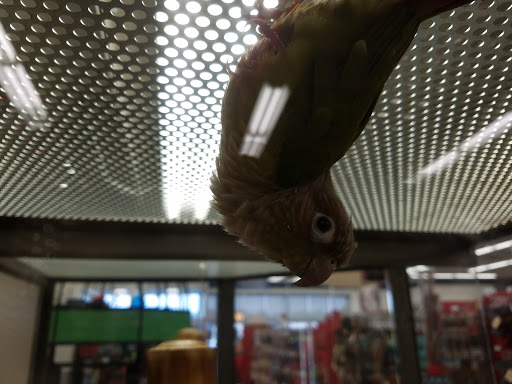 Pet Supply Store «Petco Animal Supplies», reviews and photos, 313 Homer M Adams Pkwy, Alton, IL 62002, USA