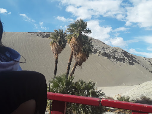 Wedding Venue «Desert Adventures Metate Ranch», reviews and photos, 38635 Monroe St, Indio, CA 92203, USA