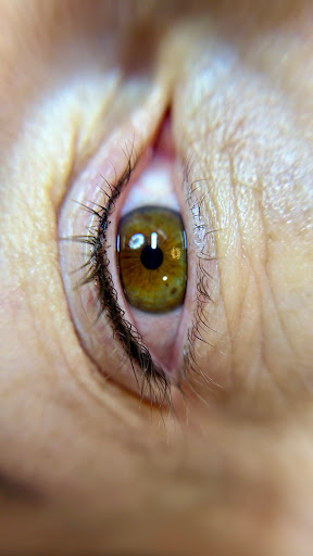 Explore tattoo ideas dolphin, creative tattoo ideas in Lincoln, available at Boutique Ink