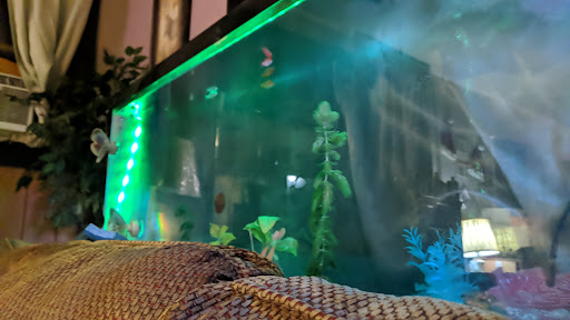 Pet Supply Store «PetSmart», reviews and photos, 4900 Rogers Ave #102a, Fort Smith, AR 72903, USA