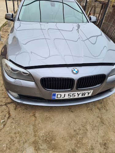 Opinii despre BMW Diagnoza Chiptuning Craiova în <nil> - Service auto