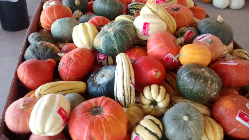 Produce Market «Jones Farm Produce», reviews and photos, 10325 River Rd NE, Salem, OR 97303, USA