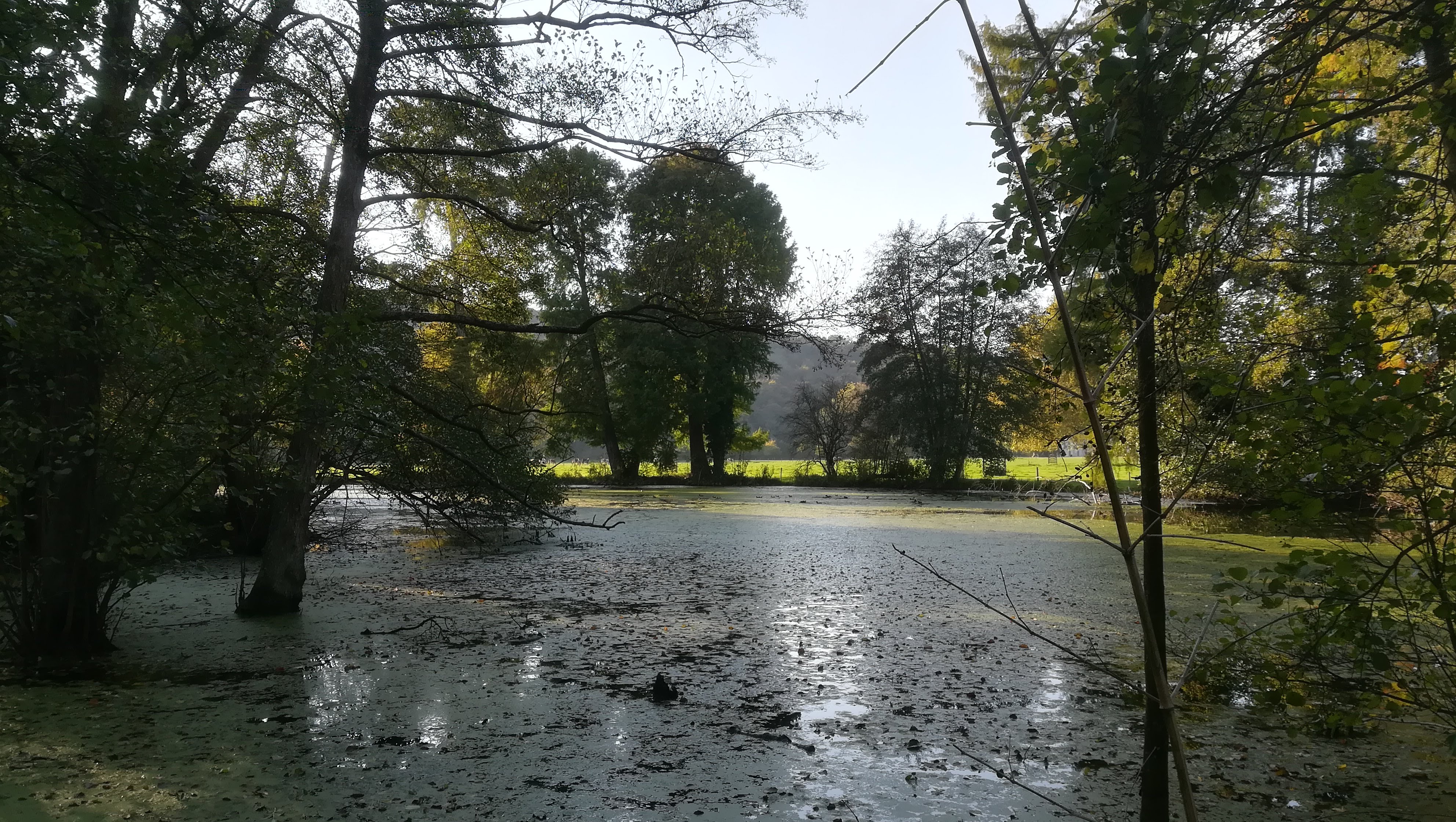 Photo n° 2 de l'avis de michel.a fait le 21/10/2018 à 16:31