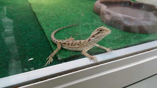 Pet Supply Store «Pet Supplies Plus», reviews and photos, 5394 Kemps River Dr Suite 101, Virginia Beach, VA 23464, USA