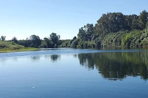 Live Oak Recreational Park Boat Launch image