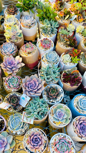 Home Improvement Store «The Home Depot», reviews and photos, 3401 Oakwood Blvd, Hollywood, FL 33020, USA