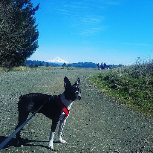 Powell Butte Nature Park