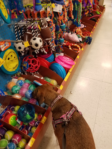 Pet Supply Store «PetSmart», reviews and photos, 67 Consumer Square, Plattsburgh, NY 12901, USA