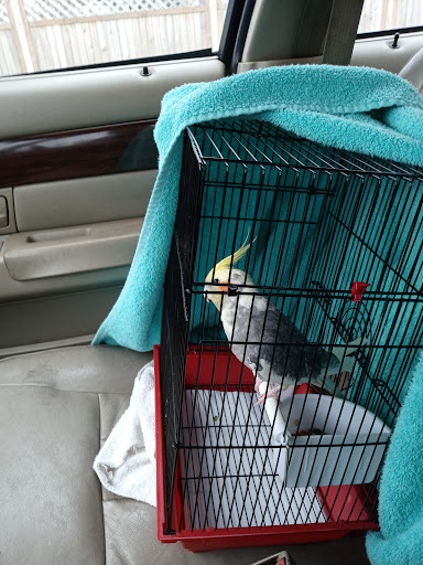 Hardware Store «Harlem Foster Hardware Inc.», reviews and photos, 7230 W Foster Ave, Chicago, IL 60656, USA