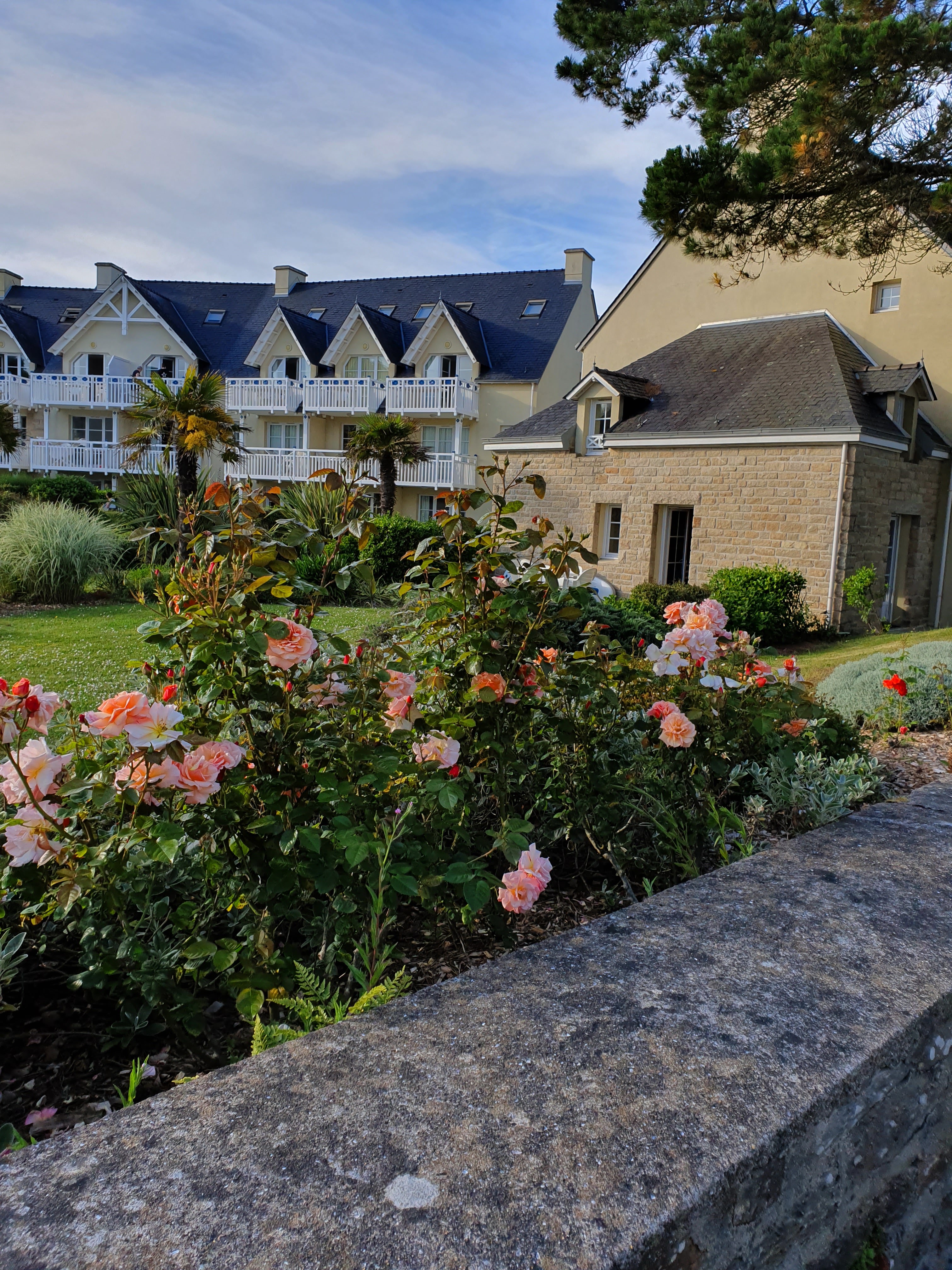 Photo n° 3 de l'avis de Dany.r fait le 03/06/2019 à 09:34