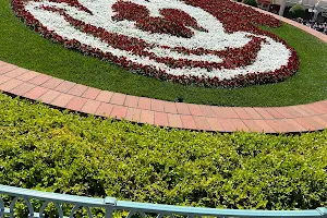 Mickey Flowerbed image