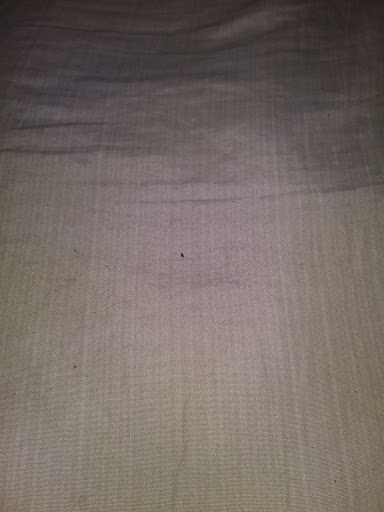 Hardware Store «Vision Ace Hardware», reviews and photos, 8538 Gunn Hwy #10, Odessa, FL 33556, USA